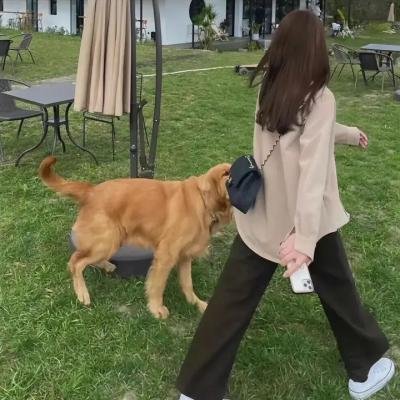 扭计冤家
